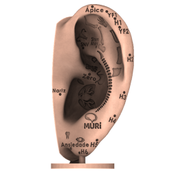 ORELHA MURi 3D DE 20CM